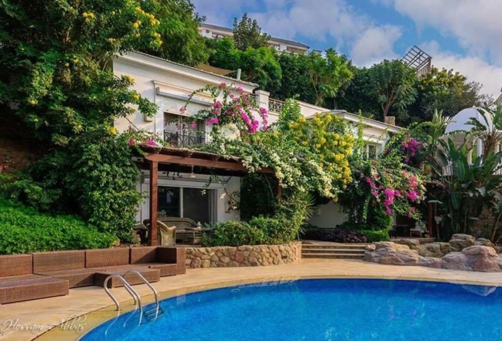 ✨ المميزات